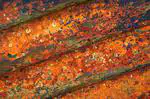 Non-toxic Marine Coatings